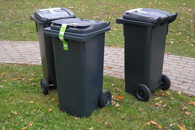 comment désinfecter et désodoriser les poubelles et collecteurs de déchets