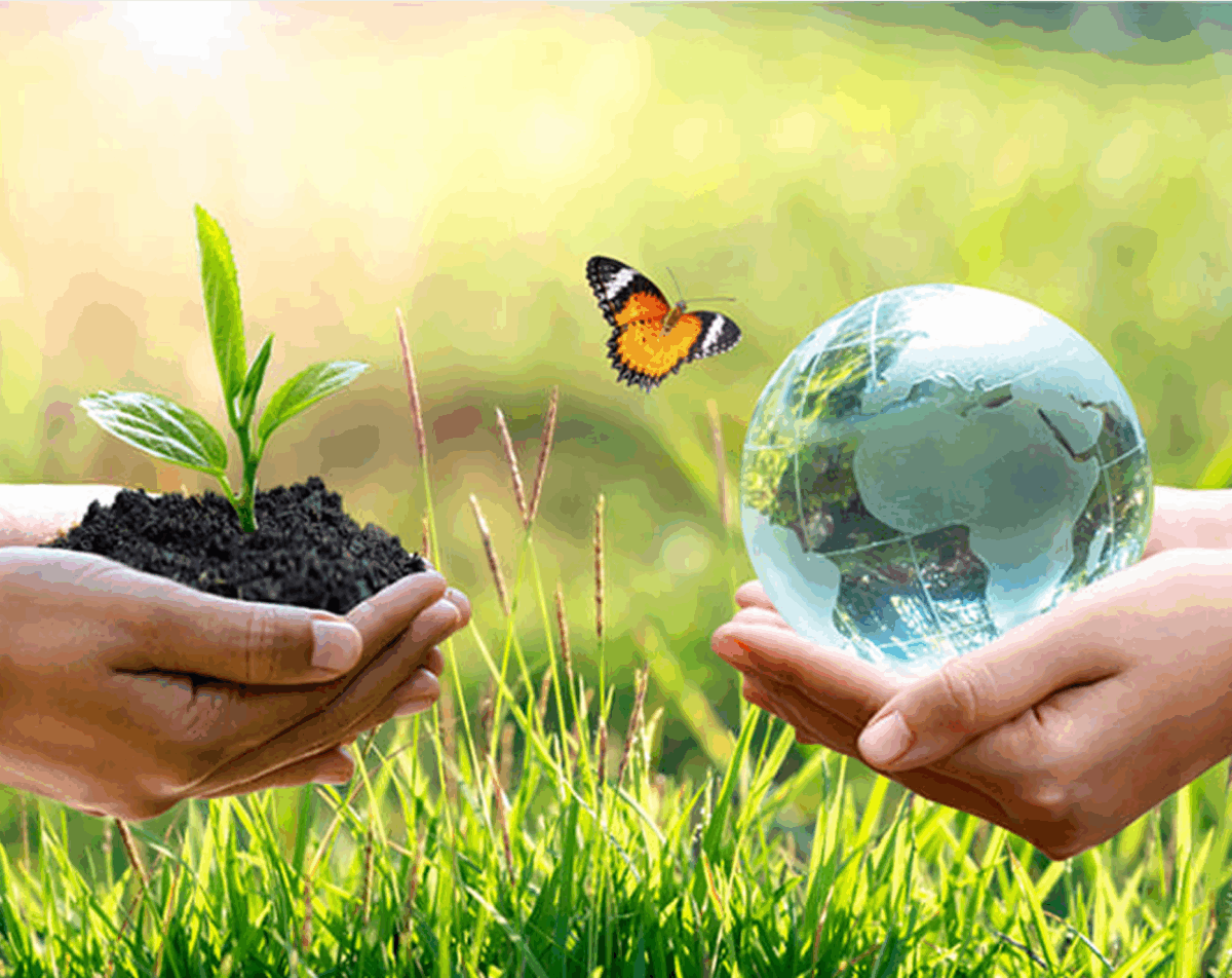 Planète écologique avec un papillon