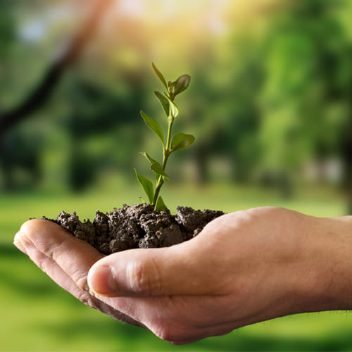 traitement biologique des canalisations