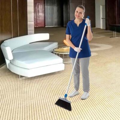 Balai haut à poils durs pour moquette et tapis